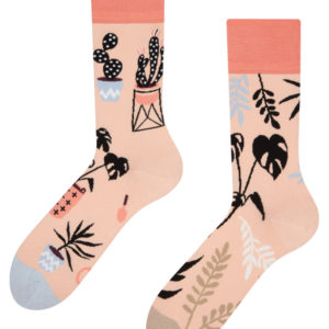 Veselé ponožky Dedoles Pokojové rostliny (GMRS233) S