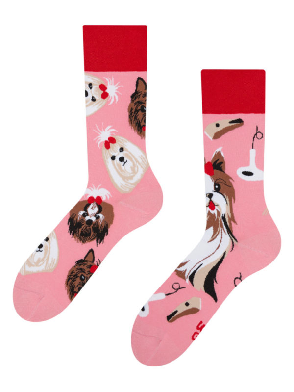 Veselé ponožky Dedoles Yorkšírský teriér (GMRS215) M