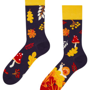 Veselé ponožky Dedoles Podzimní slimák (D-U-SC-RS-C-C-1460) L