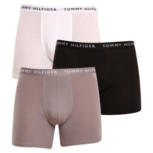 3PACK pánské boxerky Tommy Hilfiger vícebarevné (UM0UM02204 0TG) XXL