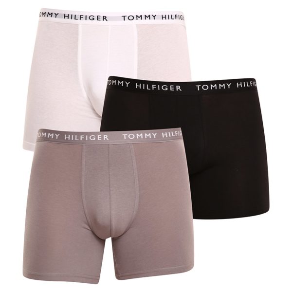 3PACK pánské boxerky Tommy Hilfiger vícebarevné (UM0UM02204 0TG) M