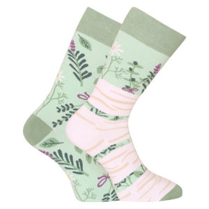 Veselé ponožky Dedoles Bylinky (GMRS138) L
