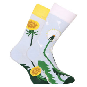 Veselé ponožky Dedoles Pampeliškové jaro (D-U-SC-RS-C-C-1562) L