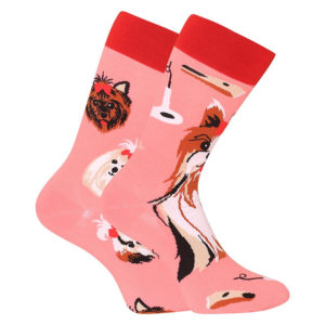 Veselé ponožky Dedoles Yorkšírský teriér (GMRS215) L