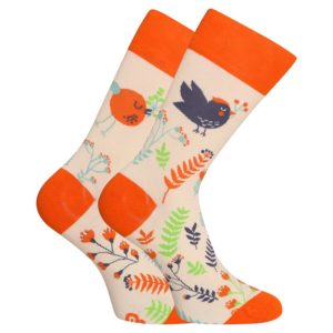 Veselé ponožky Dedoles Roztomilí ptáčci (D-U-SC-RS-C-C-1569) L