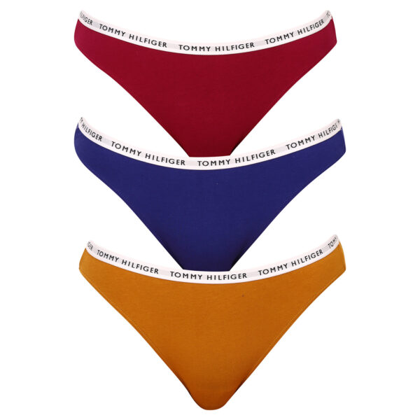 3PACK dámské kalhotky Tommy Hilfiger vícebarevné (UW0UW02828 0XH) XS