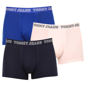 3PACK pánské boxerky Tommy Hilfiger vícebarevné (UM0UM02850 0T8) L