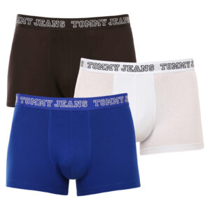 3PACK pánské boxerky Tommy Hilfiger vícebarevné (UM0UM02850 0TV) M