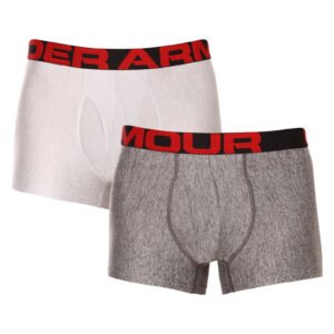2PACK pánské boxerky Under Armour šedé (1363618 011) 3XL