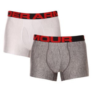 2PACK pánské boxerky Under Armour šedé (1363618 011) M