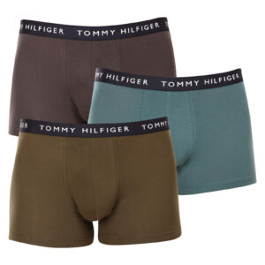 3PACK pánské boxerky Tommy Hilfiger vícebarevné (UM0UM02203 0XX) M