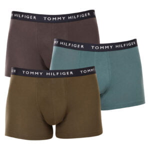 3PACK pánské boxerky Tommy Hilfiger vícebarevné (UM0UM02203 0XX) XL