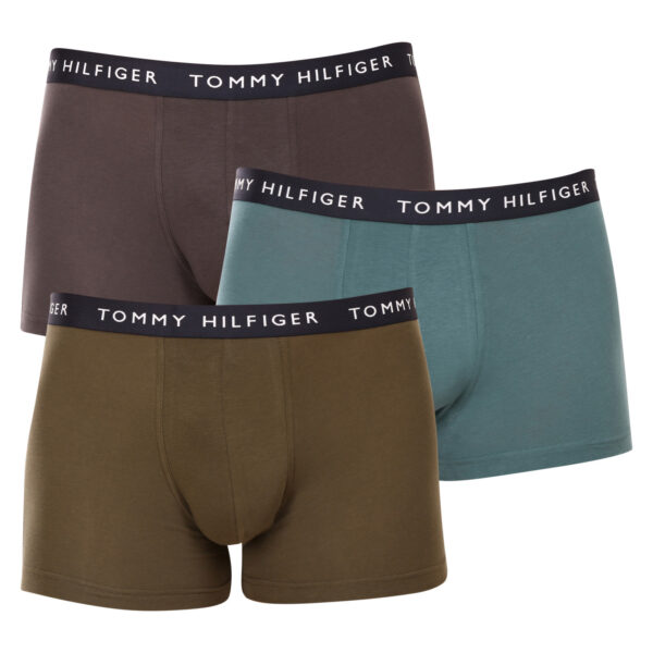 3PACK pánské boxerky Tommy Hilfiger vícebarevné (UM0UM02203 0XX) XL