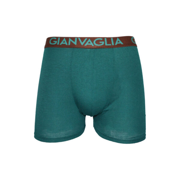 Pánské boxerky Gianvaglia zelené (024-green) M