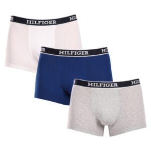 3PACK pánské boxerky Tommy Hilfiger vícebarevné (UM0UM03185 0YZ) L