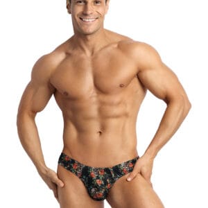 Pánská tanga Anais vícebarevná (Power String) S