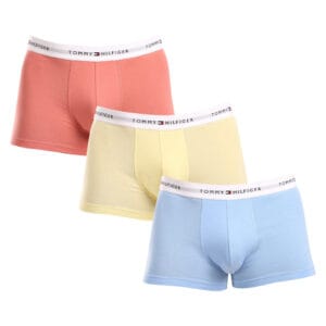 3PACK pánské boxerky Tommy Hilfiger vícebarevné (UM0UM02761 0XM) XXL
