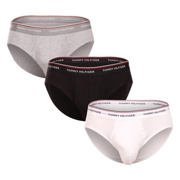 3PACK pánské slipy Tommy Hilfiger vícebarevné (1U87903766 004) S
