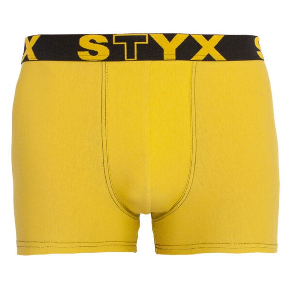 Pánské boxerky Styx sportovní guma zelenožluté (G1065) S