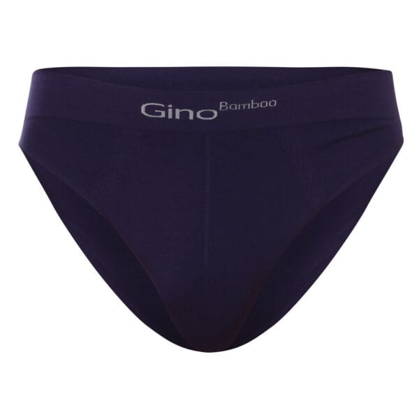 Pánské slipy Gino bambusové modré (50003) XL