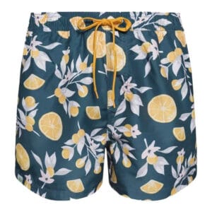 Veselé pánské plavky Dedoles Pomeranče (D-M-BW-SSH-C-RP-1583) S