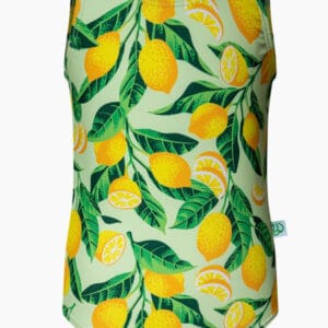 Veselé dívčí plavky Dedoles Citrony (D-K-SCL-S-OPS-C-1259) 2-4 roky