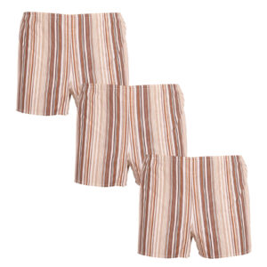 3PACK Klasické pánské trenky Foltýn hnědé s proužky (3xK53) S
