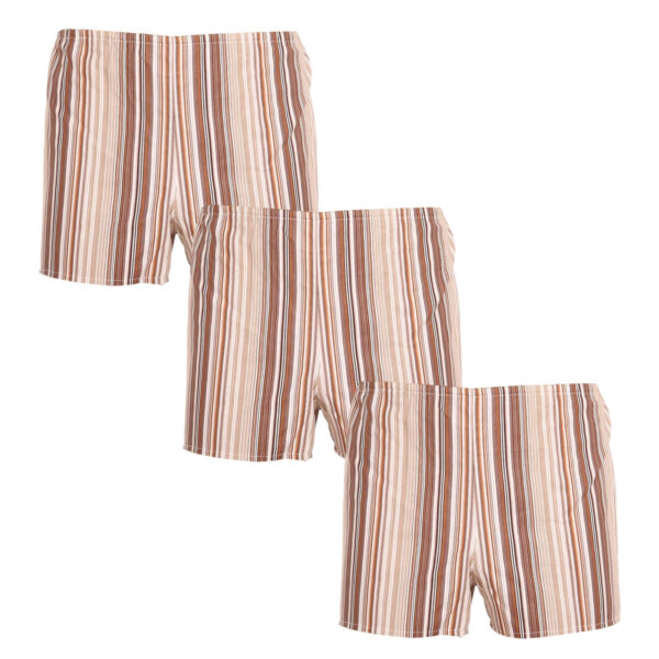 3PACK Klasické pánské trenky Foltýn hnědé s proužky (3xK53) S