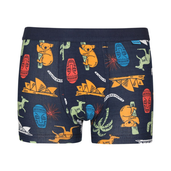 Chlapecké boxerky Cornette Young vícebarevné (700/134) 158