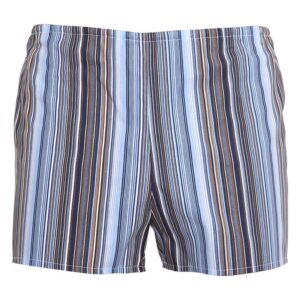 Klasické pánské trenky Foltýn modré s proužky (K51) L