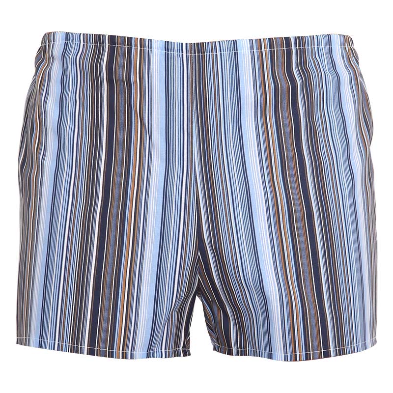 Klasické pánské trenky Foltýn modré s proužky (K51) L