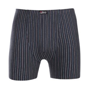 Pánské boxerky Gino vícebarevné (74169-DCMDxA) L