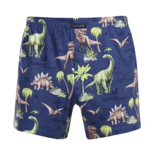 Pánské trenky Cornette Classic vícebarevné (001/158) S