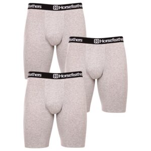3PACK pánské boxerky Horsefeathers Dynasty long (AM195C) L