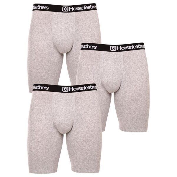 3PACK pánské boxerky Horsefeathers Dynasty long (AM195C) L