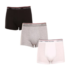 3PACK pánské boxerky Tommy Hilfiger vícebarevné (1U87903841 004) XL