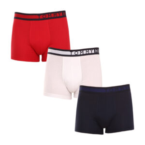 3PACK pánské boxerky Tommy Hilfiger vícebarevné (UM0UM01234 0XY) XL