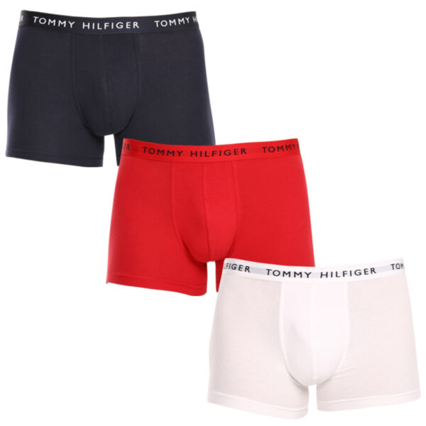 3PACK pánské boxerky Tommy Hilfiger vícebarevné (UM0UM02203 0WS) XXL