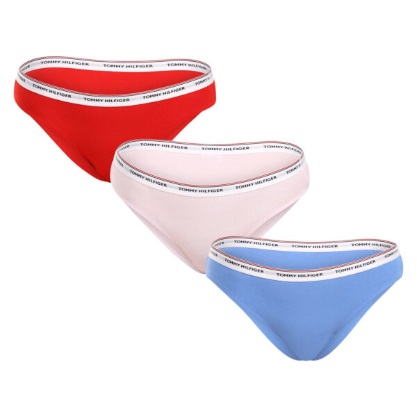 3PACK dámské kalhotky Tommy Hilfiger nadrozměr vícebarevné (UW0UW04895 0WR) XXL