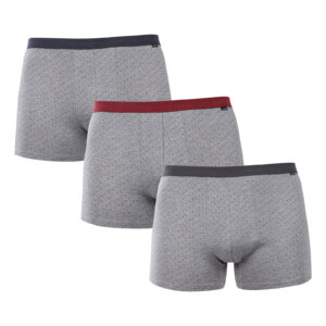 3PACK pánské boxerky Andrie šedé (PS 5702) L