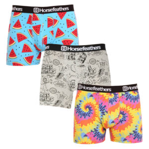3PACK pánské boxerky Horsefeathers Sidney (AM70Y164BD) M