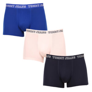 3PACK pánské boxerky Tommy Hilfiger vícebarevné (UM0UM02850 0T8) L