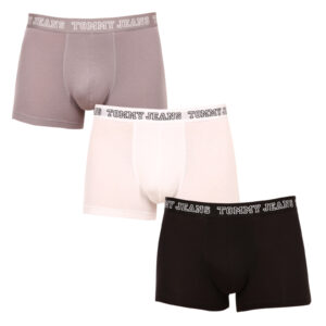 3PACK pánské boxerky Tommy Hilfiger vícebarevné (UM0UM02850 0T9) L