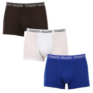 3PACK pánské boxerky Tommy Hilfiger vícebarevné (UM0UM02850 0TV) M