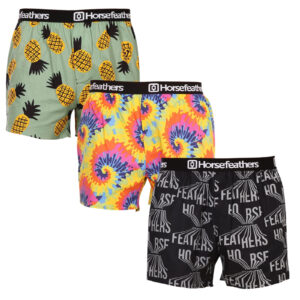 3PACK pánské trenky Horsefeathers Frazier (AM166BCD) M