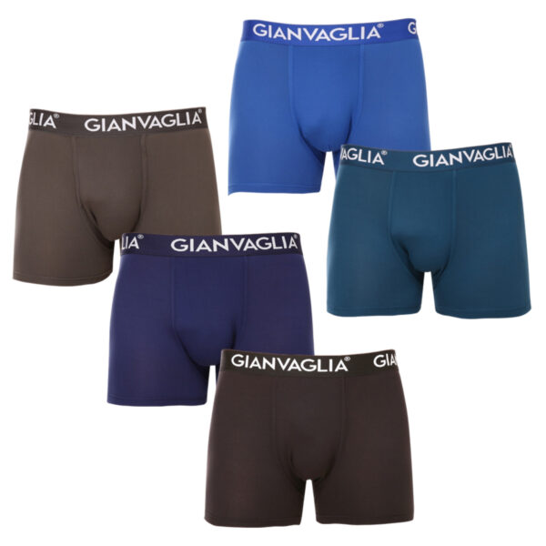 5PACK pánské boxerky Gianvaglia vícebarevné (GVG-5007) M