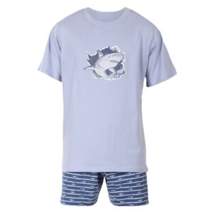 Pánské pyžamo Gino vícebarevné (79170-LBMMGM) S