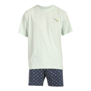 Pánské pyžamo Gino vícebarevné (79166-LGZDZM) S