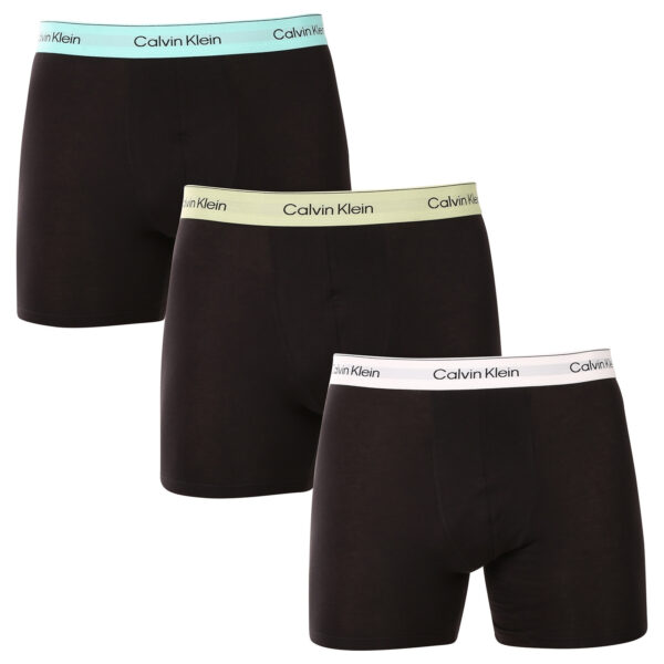 3PACK pánské boxerky Calvin Klein černé (NB4394-VRB) L