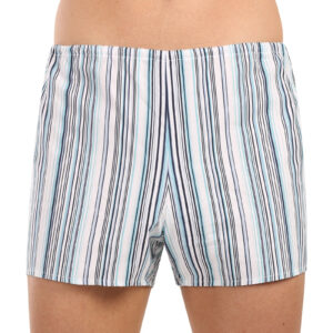 Klasické pánské trenky Foltýn světlé proužky extra nadrozměr (KN83) 9XL